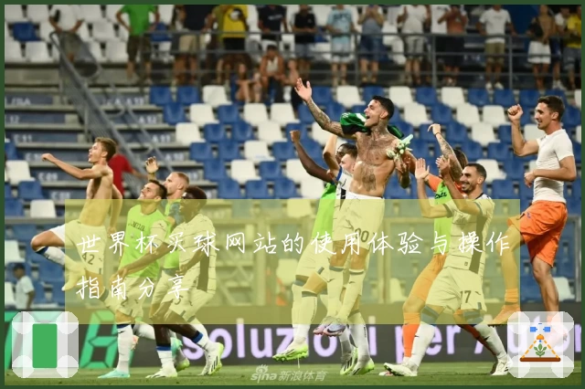 世界杯买球网站的使用体验与操作指南分享