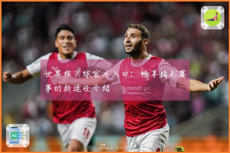 世界杯买球官方入口：畅享精彩赛事的新途径介绍