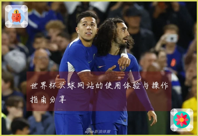 世界杯买球网站的使用体验与操作指南分享